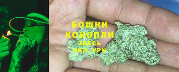 дживик Россошь