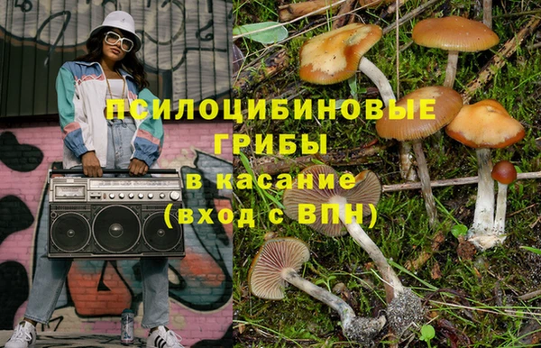 дживик Россошь