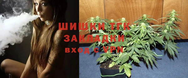 дживик Россошь
