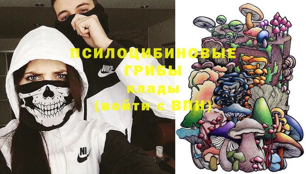 дживик Россошь
