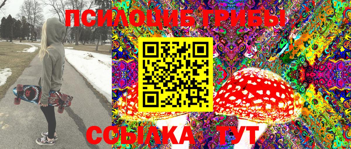 где продают наркотики  Сердобск  Галлюциногенные грибы Psilocybine cubensis 